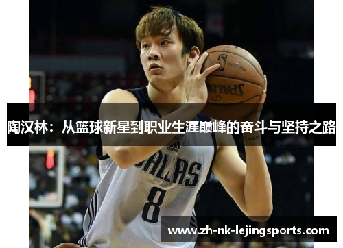 陶汉林：从篮球新星到职业生涯巅峰的奋斗与坚持之路